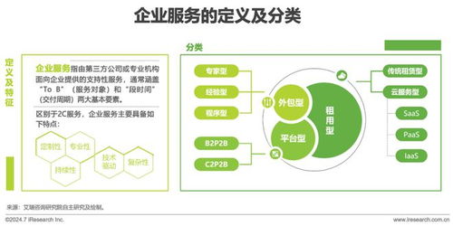 2024年中國企業(yè)服務(wù)研究報告